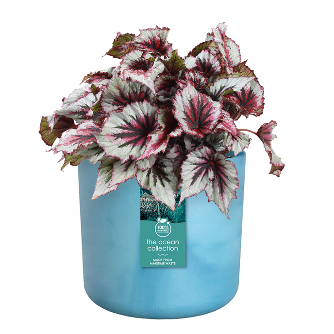 the ocean collection round 22cm atlantic blue